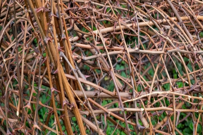 Landscape festival - Postel - 2