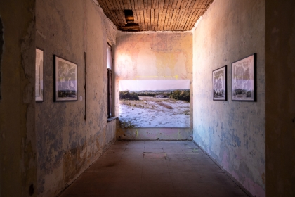 Landscape festival - Exhibitions - 2
