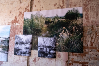 Landscape festival - Exhibitions - 9