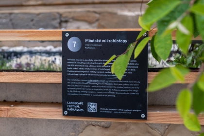 Landscape festival - Urban microbiotopes - 1