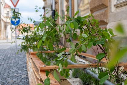 Landscape festival - Urban microbiotopes - 2