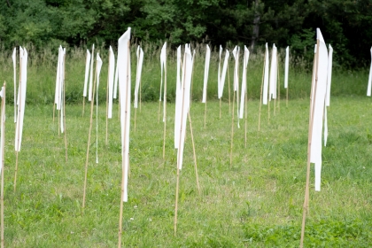 Landscape festival - Shape of Wind - 3