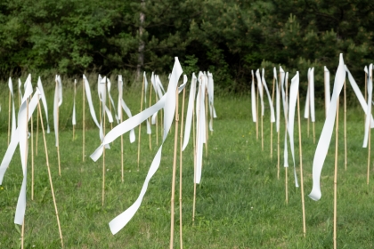 Landscape festival - Shape of Wind - 1