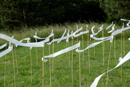 Landscape festival - Shape of Wind - 2