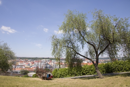 Landscape festival - Stoletá (2018) - 2